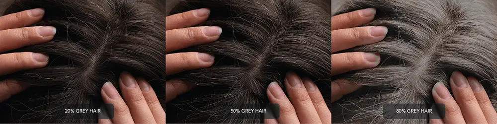 Percentage of Grey Hair